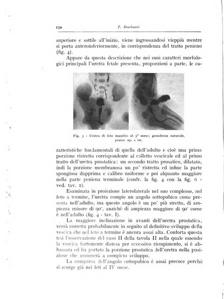 Annali di radiologia diagnostica