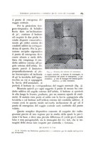 giornale/TO00216169/1941/unico/00000153