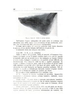 giornale/TO00216169/1941/unico/00000172