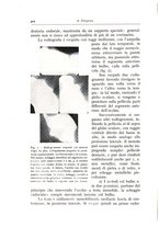 giornale/TO00216169/1941/unico/00000294