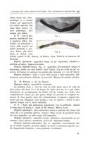 giornale/TO00216169/1941/unico/00000339