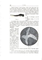 giornale/TO00216169/1941/unico/00000340