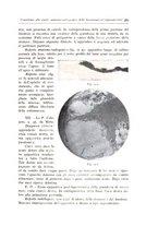 giornale/TO00216169/1941/unico/00000347