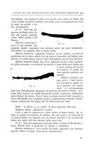 giornale/TO00216169/1941/unico/00000355