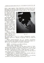 giornale/TO00216169/1941/unico/00000363