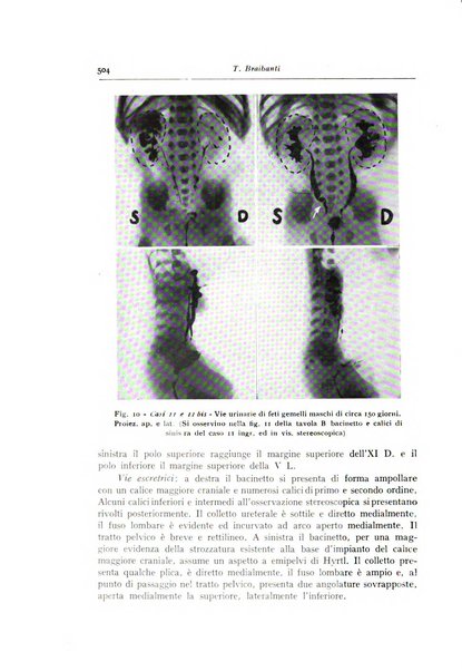 Annali di radiologia diagnostica