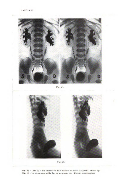 Annali di radiologia diagnostica