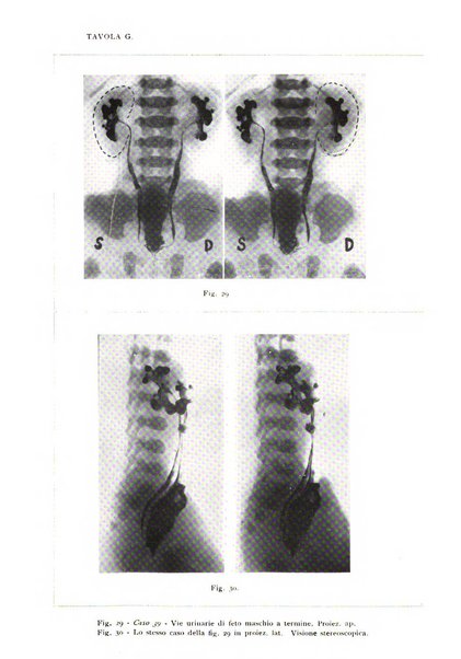 Annali di radiologia diagnostica