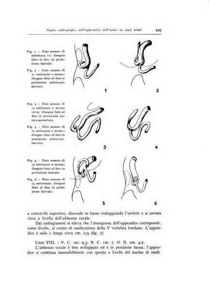 Annali di radiologia diagnostica