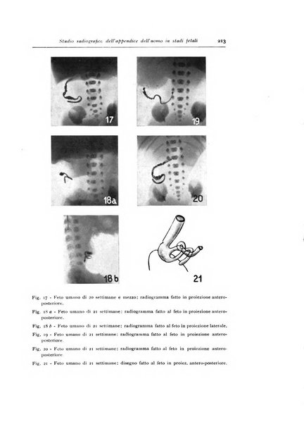 Annali di radiologia diagnostica