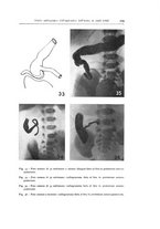 giornale/TO00216169/1942/unico/00000055