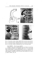 giornale/TO00216169/1942/unico/00000057