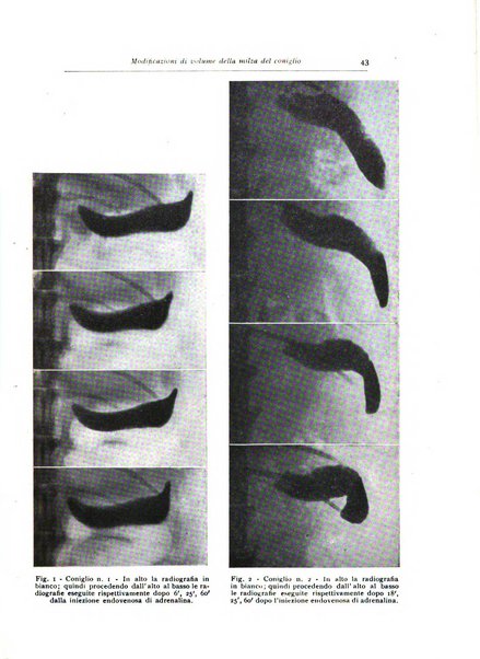 Annali di radiologia diagnostica