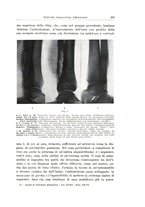 giornale/TO00216169/1946/unico/00000157