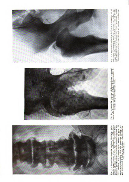 Annali di radiologia diagnostica