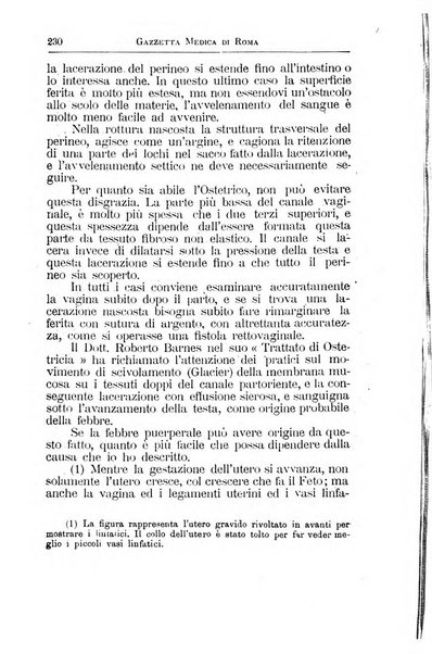 Gazzetta medica Malpighi