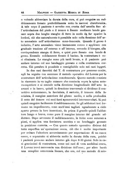 Gazzetta medica Malpighi