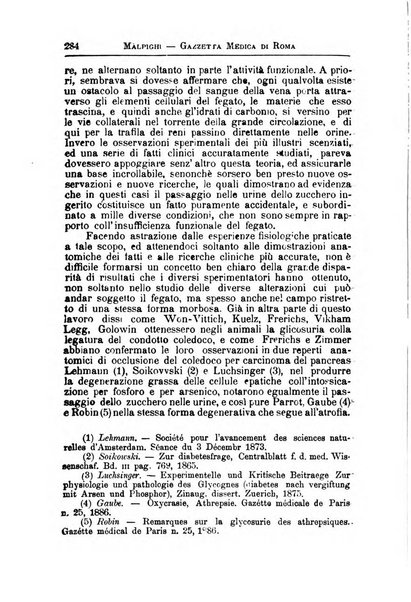 Gazzetta medica Malpighi