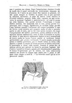 giornale/TO00216346/1895/unico/00000627