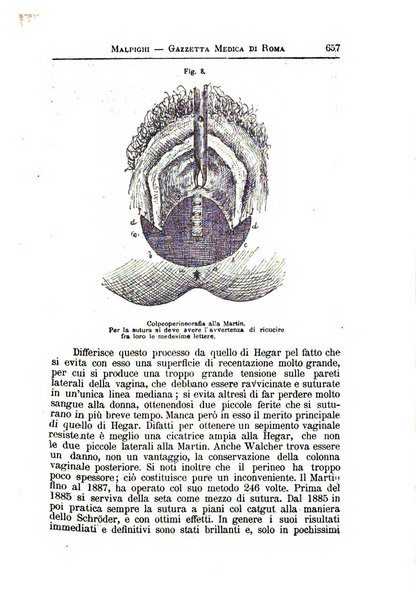 Gazzetta medica Malpighi