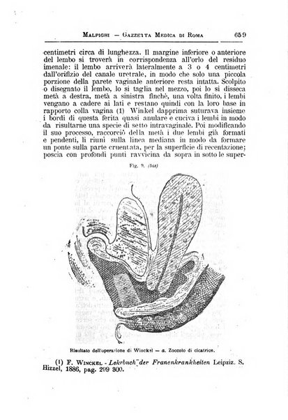 Gazzetta medica Malpighi