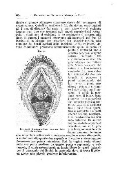 Gazzetta medica Malpighi