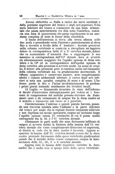 Gazzetta medica Malpighi