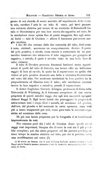 Gazzetta medica Malpighi