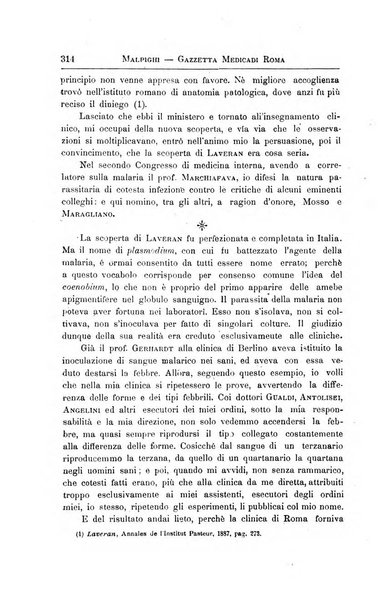 Gazzetta medica Malpighi