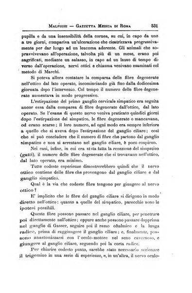 Gazzetta medica Malpighi