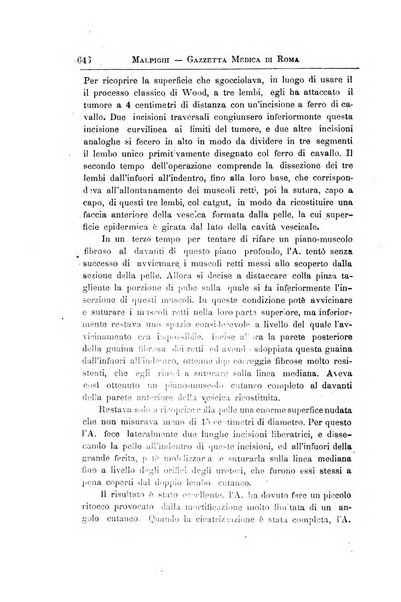 Gazzetta medica Malpighi