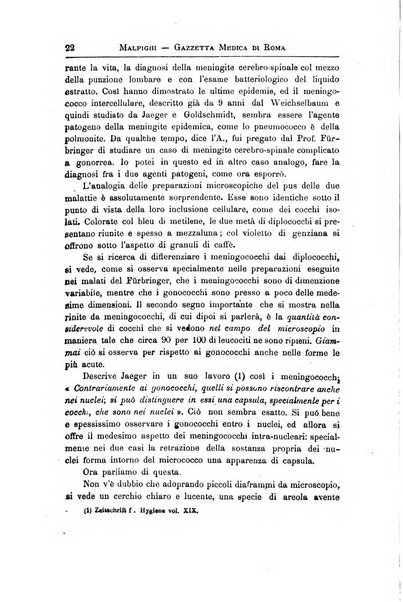 Gazzetta medica Malpighi