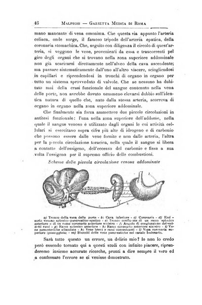 Gazzetta medica Malpighi