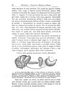 giornale/TO00216346/1897/unico/00000050