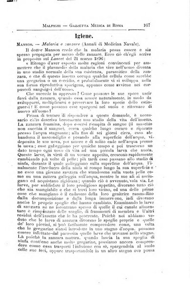 Gazzetta medica Malpighi