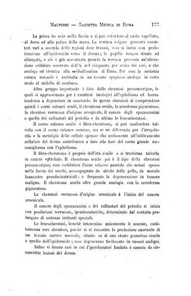 Gazzetta medica Malpighi