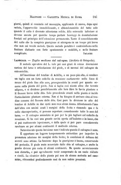 Gazzetta medica Malpighi