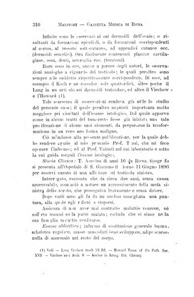 Gazzetta medica Malpighi