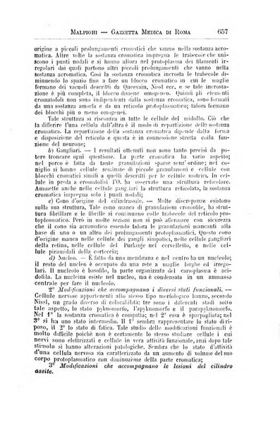 Gazzetta medica Malpighi