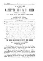 giornale/TO00216346/1898/unico/00000035