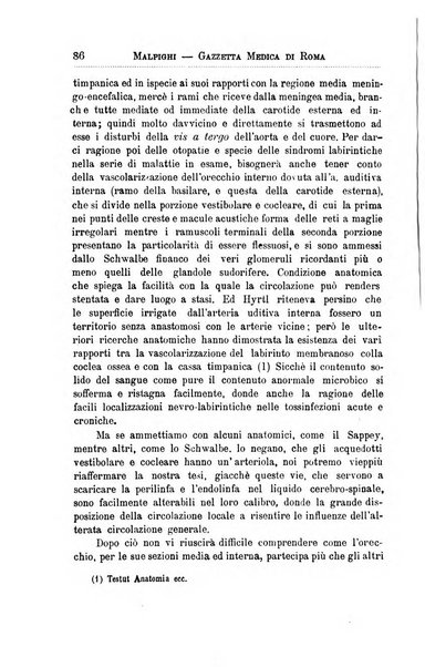 Gazzetta medica Malpighi