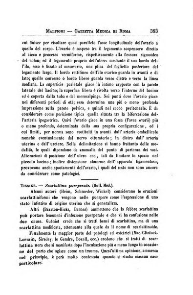 Gazzetta medica Malpighi