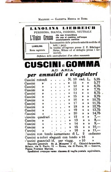 Gazzetta medica Malpighi