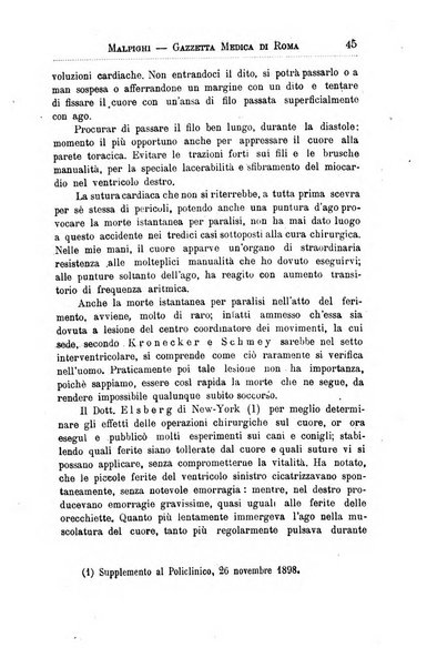 Gazzetta medica Malpighi