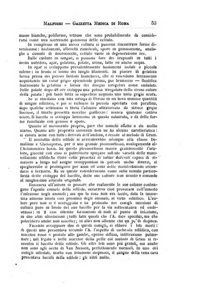 Gazzetta medica Malpighi