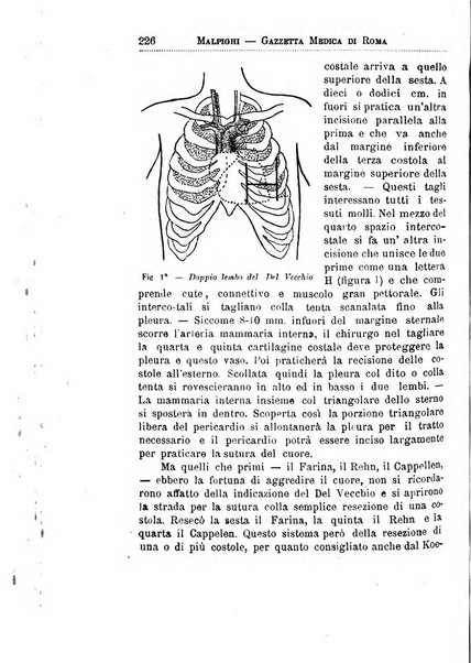 Gazzetta medica Malpighi