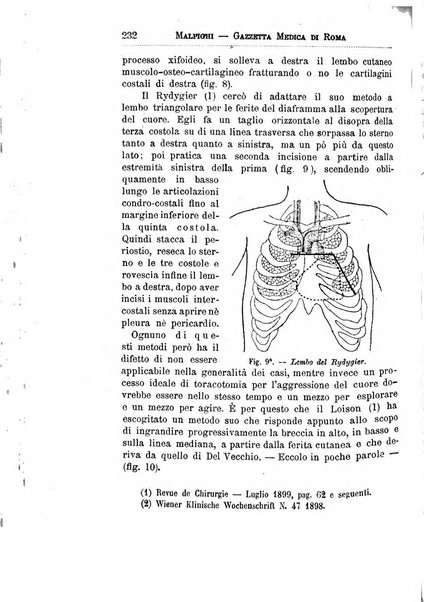 Gazzetta medica Malpighi