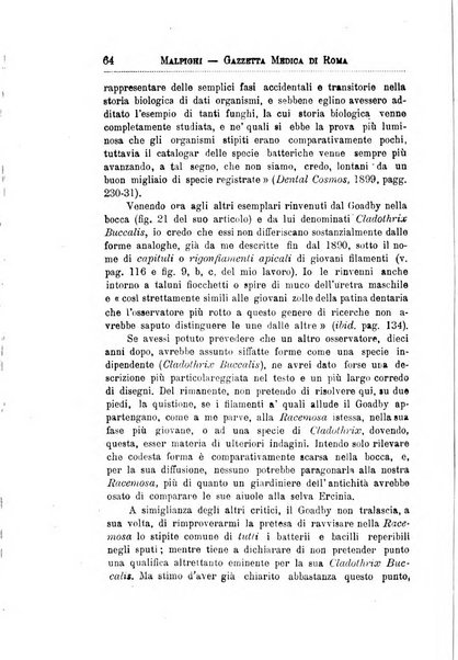 Gazzetta medica Malpighi