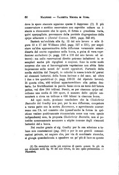 Gazzetta medica Malpighi