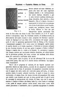 giornale/TO00216346/1901/unico/00000135